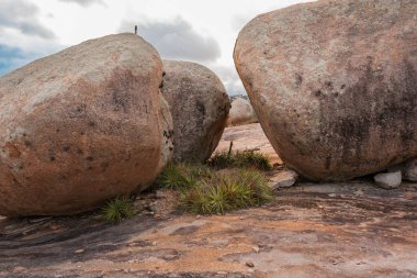 Lajedo de Pai Mateus caati içinde bir ünlü rock oluşumdur