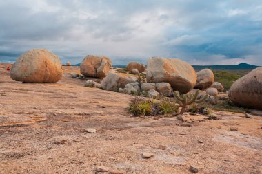 Lajedo de Pai Mateus caati içinde bir ünlü rock oluşumdur