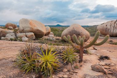 Lajedo de Pai Mateus caati içinde bir ünlü rock oluşumdur