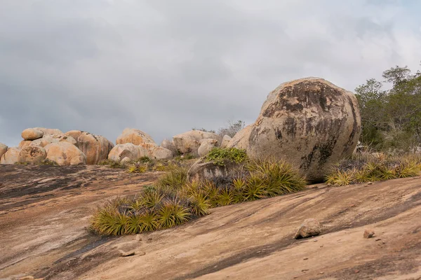 Lajedo de Pai Mateus caati içinde bir ünlü rock oluşumdur