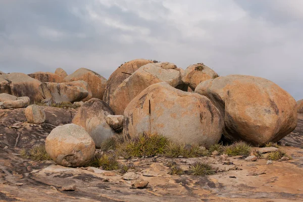 Lajedo de Pai Mateus caati içinde bir ünlü rock oluşumdur