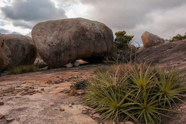 Lajedo de Pai Mateus caati içinde bir ünlü rock oluşumdur