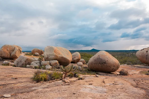 Lajedo de Pai Mateus caati içinde bir ünlü rock oluşumdur