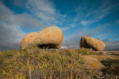 Lajedo de Pai Mateus caati içinde bir ünlü rock oluşumdur