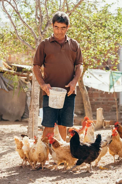 Boer brengt diervoeders in een kippenhok op een boerderij in Brazilië — Stockfoto