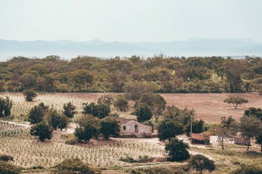 Brezilya 'nın kuzeydoğusundaki Caatinga bölgesinde küçük bir kırsal alan - Paraiba