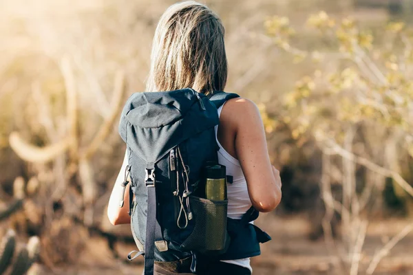 Pemandangan kembali pejalan kaki perempuan dengan ransel menjelajahi bentang alam Caatinga di Brasil — Stok Foto