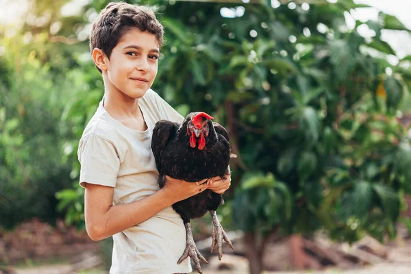 Πορτρέτο Ενός 10Χρονου Αγοριού Που Κρατάει Ένα Κοτόπουλο Στην Ύπαιθρο — Φωτογραφία Αρχείου