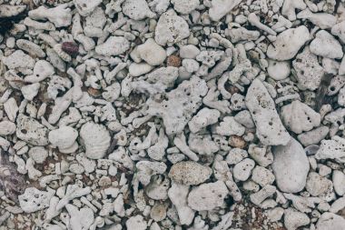 top view of gray pebble stones for background clipart