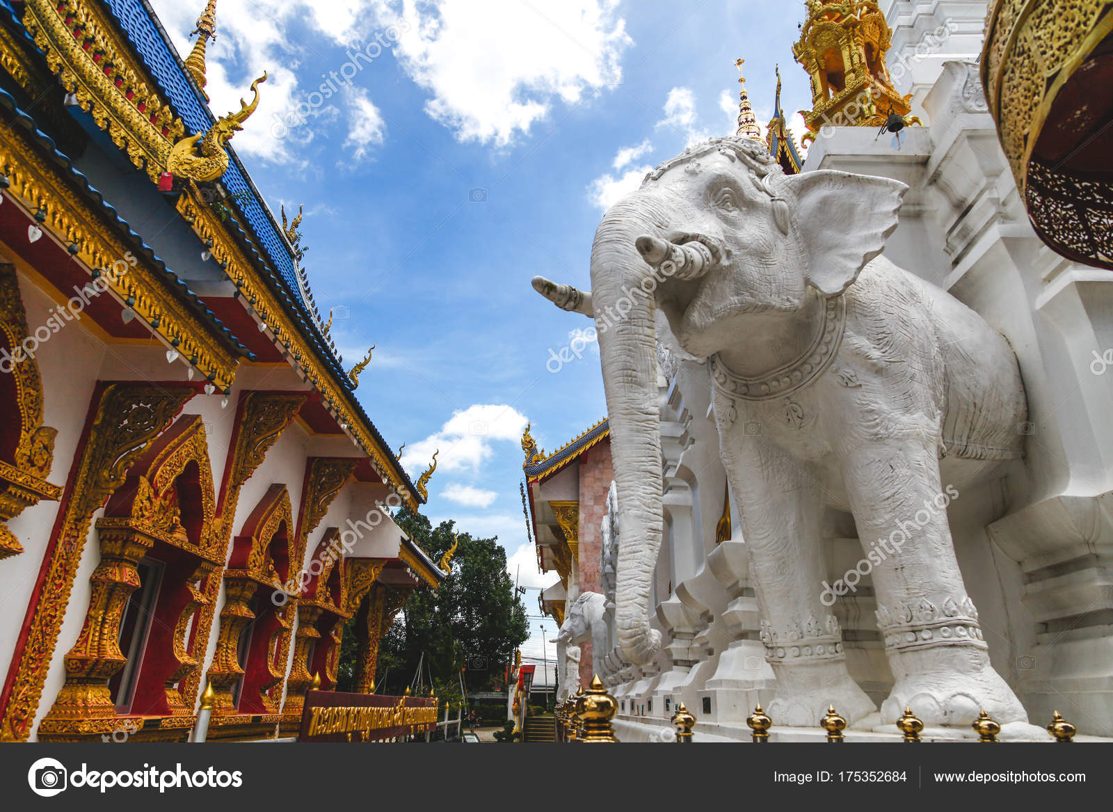 Beautiful White Elephant Sculpture Thai Temple Stock Photo by ...