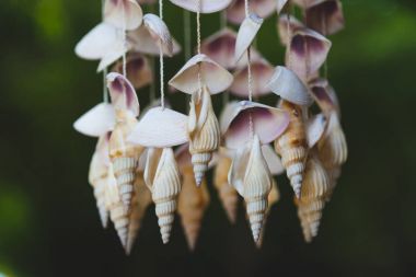 close-up shot of seashells hanging on threads on dark background