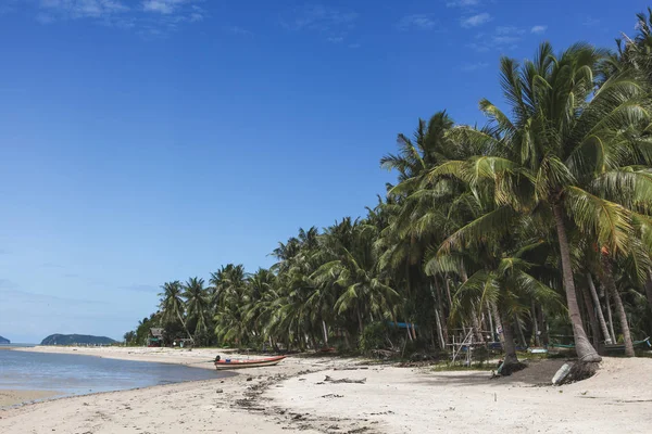 Schöner Tropischer Strand Mit Palmen Sonnigen Tagen — Stockfoto