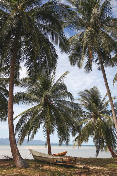 пальмы на тропическом побережье с лодкой, стоящей на земле
