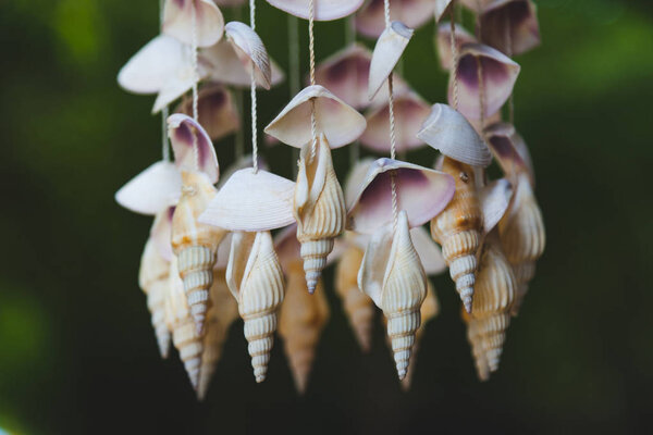 close-up shot of seashells hanging on threads on dark background