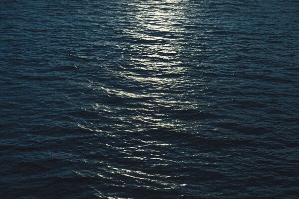 красивая морская поверхность с отражением лунного света
