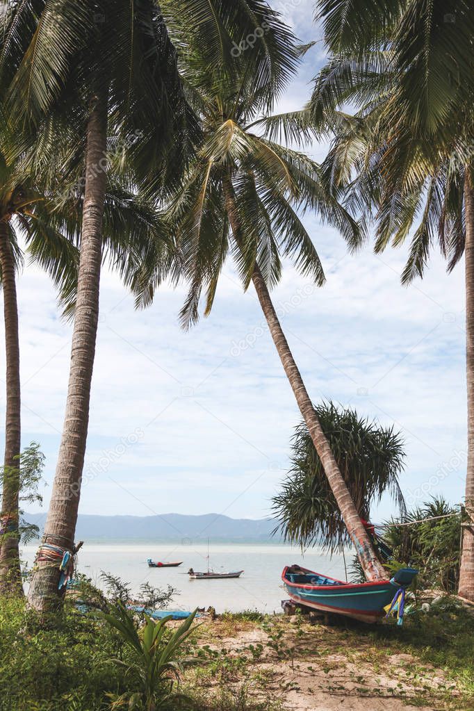 palm trees on tropical beach with boats floating in water