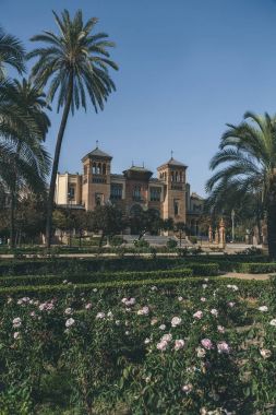 Görünüm Müzesi Maria Luisa Park, Sevilla, İspanya