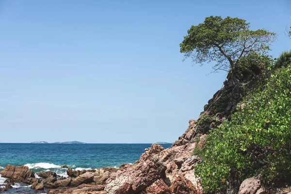 Beautiful rocky coast on sunny day — Stock Photo