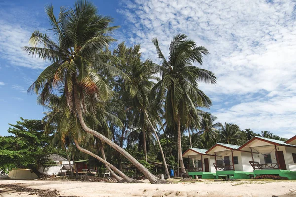 Belle palme con baracche sulla spiaggia tropicale — Foto stock