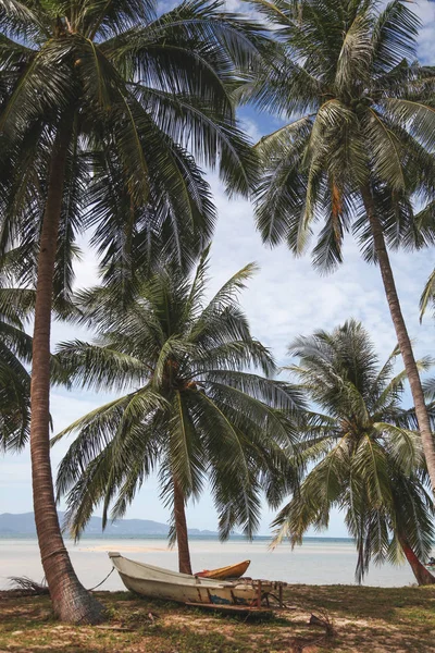 Пальми на тропічному узбережжі з човном, що стоїть на землі — стокове фото