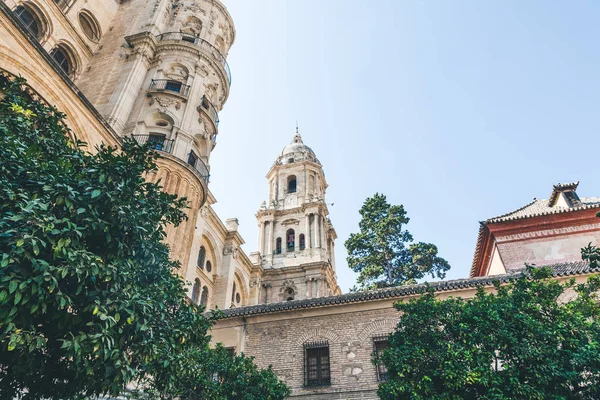 Vista angolo basso di catedral de malaga, malaga, Spagna — Foto stock