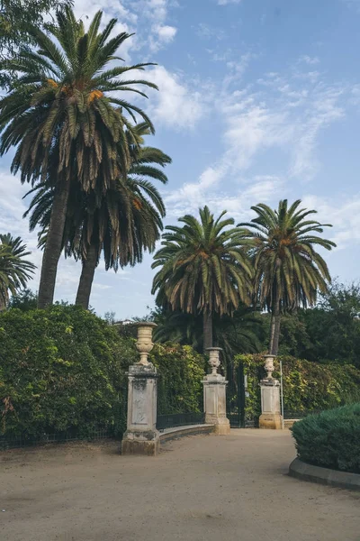 Bella vista del parco con palme, spagna — Foto stock