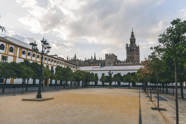 Malerischer Blick auf den Stadtplatz mit Bäumen und der Kathedrale von Sevilla, Spanien — Stockfoto
