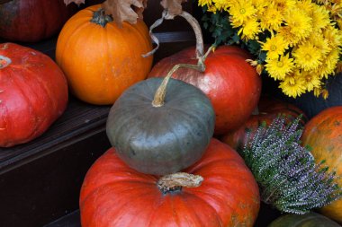 Parlak renkli kabaklar kapınıza bileşimi