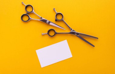 Profesyonel makas ve kartvizit sarı