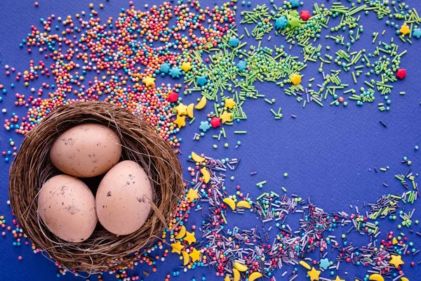 Húsvéti tojás és a virág a kék háttér felülnézet makett szett — Stock Fotó