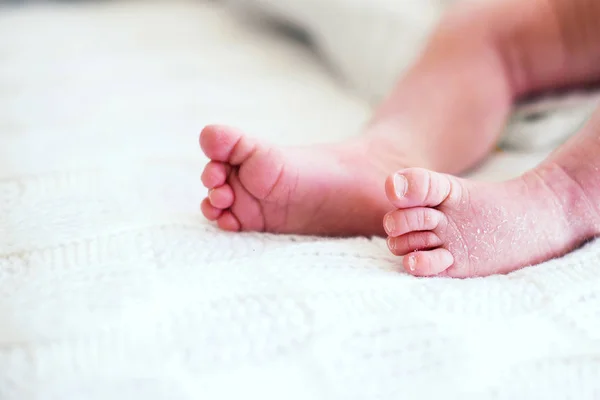 Pequenos pés do bebê close-up com espaço de cópia — Fotografia de Stock