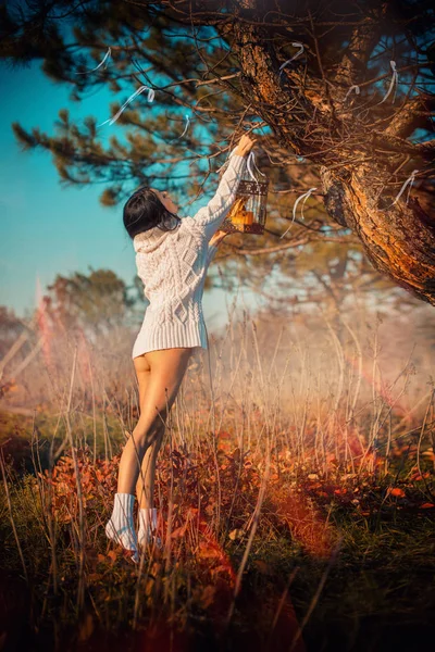 A gaiola do passar.A menina está pendurando a gaiola na árvore — Fotografia de Stock