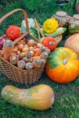 Taze sebze bir sepet içinde aldı. Vintage taze organik sebze. Havuç, pancar, kabak.
