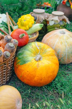 Kabak, havuç, yeşil çim zemin üzerine sonbahar siste sepetle