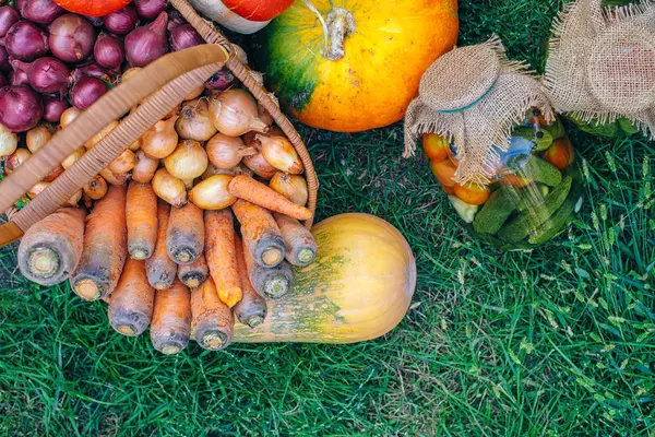 Cosechar las verduras frescas de la zanahoria, calabaza, cebolla, en una canasta. Vista superior, estilo rústico. Bodegón de otoño . — Foto de Stock