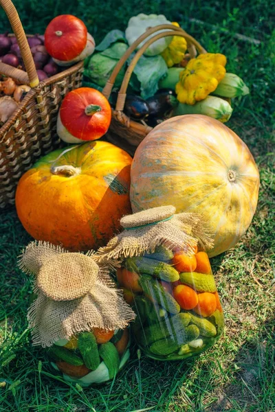 Preserved vegetables and harvest of pumpkin, squash, eggplant, zucchini — Stock Photo, Image