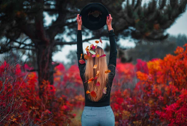 Mujer joven en hermoso parque de otoño, hojas que caen del sombrero, concepto otoño — Foto de Stock