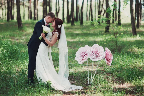 花嫁と花婿の森でハグ. — ストック写真