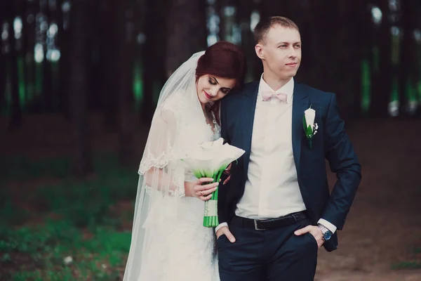 Mooie bruiloft fotosessie. Knappe bruidegom in blauwe formele pak en strikje met corsages en zijn elegante bruid in witte jurk en sluier met een mooie haarsnit in naaldhout bos. — Stockfoto