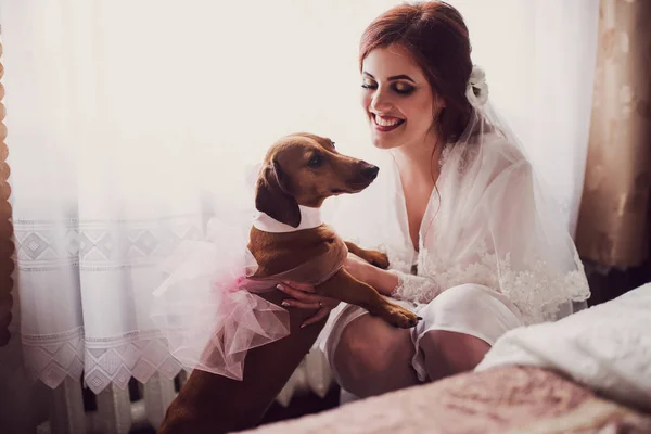 彼女は犬と一緒に再生しながら楽しくしているかなりの花嫁 — ストック写真