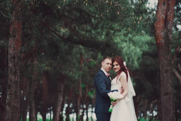 Mariée et marié câlins dans la forêt. Couple de jeunes mariés amoureux le jour du mariage. Joyeux mariage — Photo