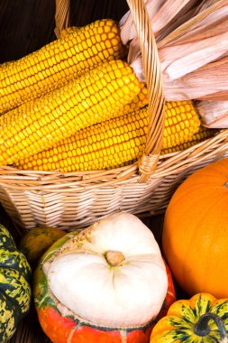 Bir sepet mısır koçanı ve rustik ahşap arka plan üzerinde farklı renkli kabak ile dolu ile sonbahar Şükran güdü