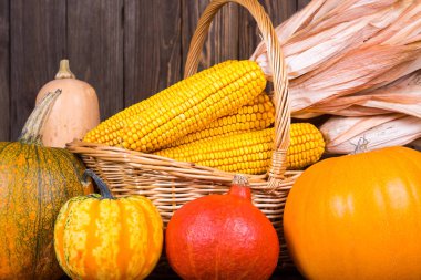 Dekoratif Şükran motifi ile mısır koçanı rustik ahşap arka plan üzerinde bir sepet karşı çeşitli kabaklar