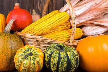 Dekoratif Şükran motifi ile mısır koçanı rustik ahşap arka plan üzerinde bir sepet karşı çeşitli kabaklar