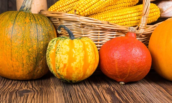 Close Up of various pumpkins in front of a basket with corn cops on a rustic wooden background — Stock Photo, Image