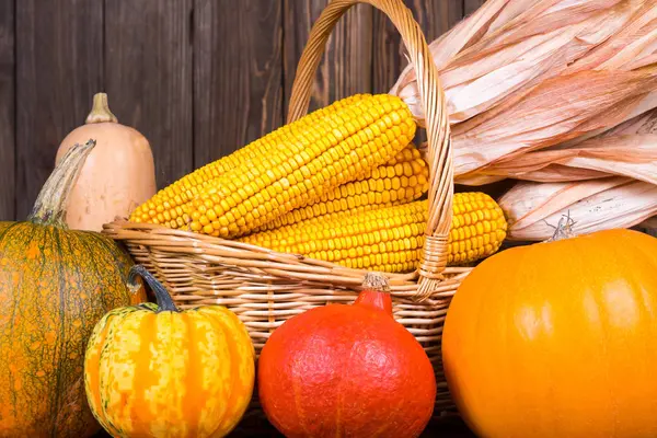 Dekoratif Şükran motifi ile mısır koçanı rustik ahşap arka plan üzerinde bir sepet karşı çeşitli kabaklar