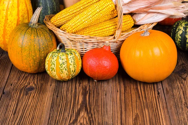 Autumn harvest festival pumpkins in front of a basket with corn cobs on a rustic wooden background with copy space in the lower area of the picture — Stock Photo, Image
