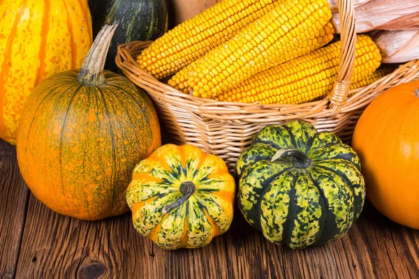 Two gorgonzola pumpkins and other pumpkins in front of a basket with corn cobs on a rustic wooden background — Stock Photo, Image