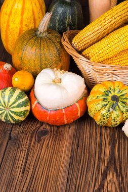 Bir sepet mısır koçanı ve kopya alanı alt alanı içinde eski bir rustik ahşap zemin üzerine farklı renkli kabak ile dolu ile sonbahar Şükran güdü