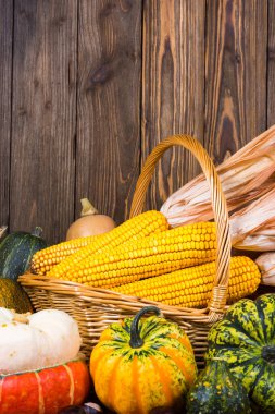Bir sepet mısır koçanı ve resmi kopya alanı üst bölgede eski bir rustik ahşap zemin üzerine farklı renkli kabak ile dolu ile sonbahar Şükran güdü